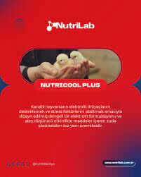 NUTRİCOOL PLUS