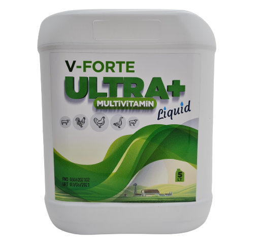 VİTAMİN, MULTİVİTAMİN SIVI V-FORTE ULTRA + Liquid 5 LT.