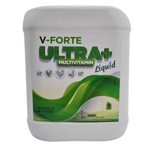 VİTAMİN, MULTİVİTAMİN SIVI V-FORTE ULTRA + Liquid 5 LT.