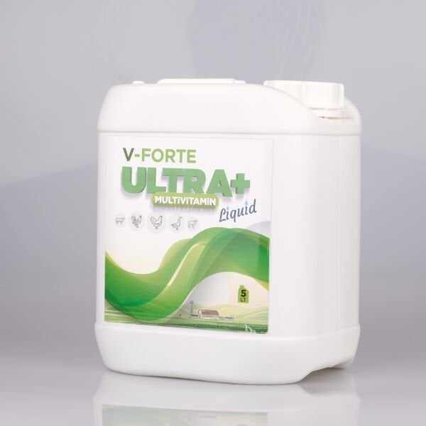 VİTAMİN, MULTİVİTAMİN SIVI V-FORTE ULTRA + Liquid 5 LT.