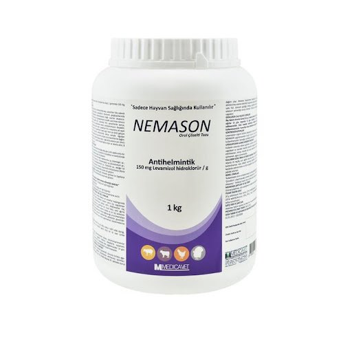 NEMASON