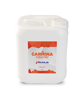 CARMINA POULTRY