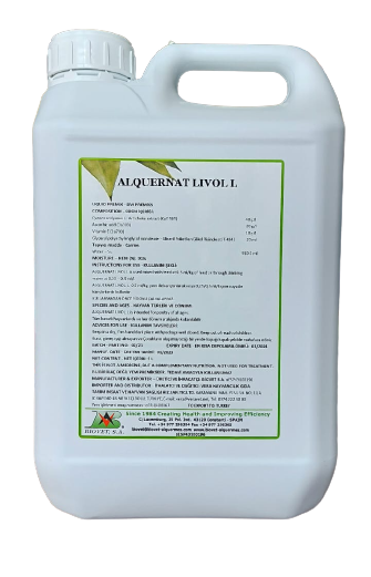 ALQUERNAT LİVOL  5 LT.