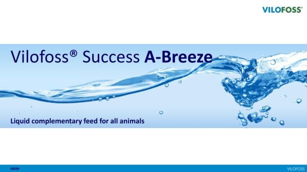 VİLOFOSS SUCCESS V AVİAN BREEZE