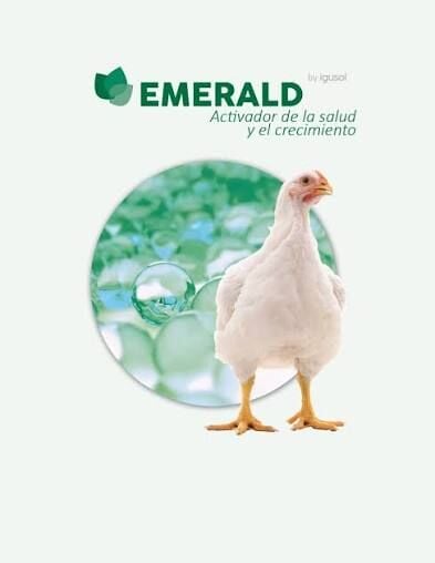 EMERALD